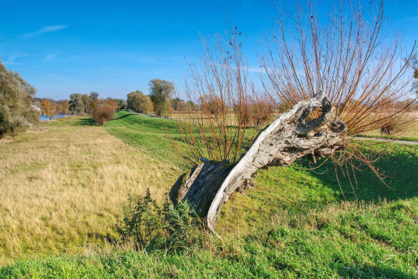 Photovoltaik in Nordwestuckermark von ENASOL
